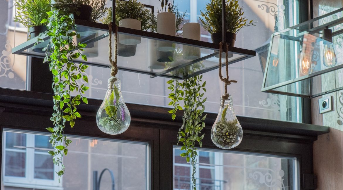 Hanging plants in glass lightbulb-shaped containers, with greenery and candles on shelves against a window backdrop